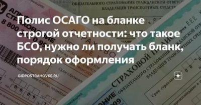 БСО ОСАГО что это такое?