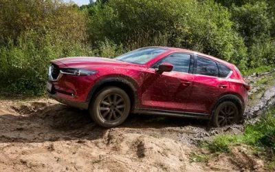 Нужен ли полный привод на кроссовере?